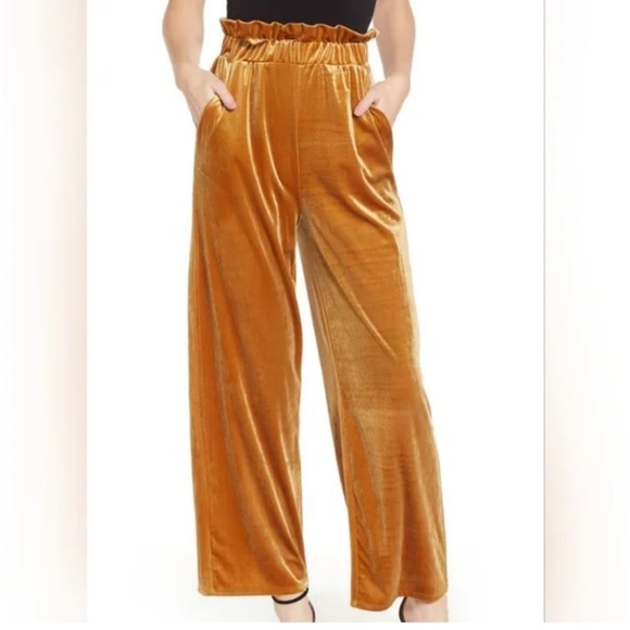 Madison & Berkeley Velvet Wide Leg Pull-on Pants size M - Picture 1 of 4